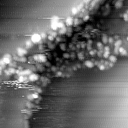 m14013_ori