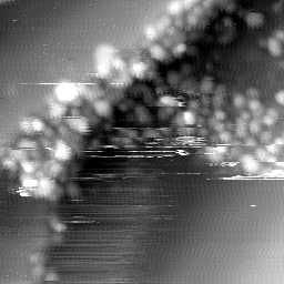 m14014_ori