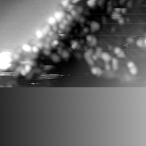 m14015_ori