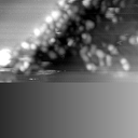 m14015_ori