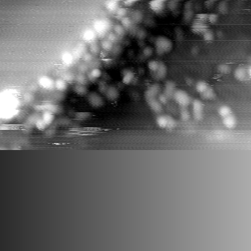 m14015_ori