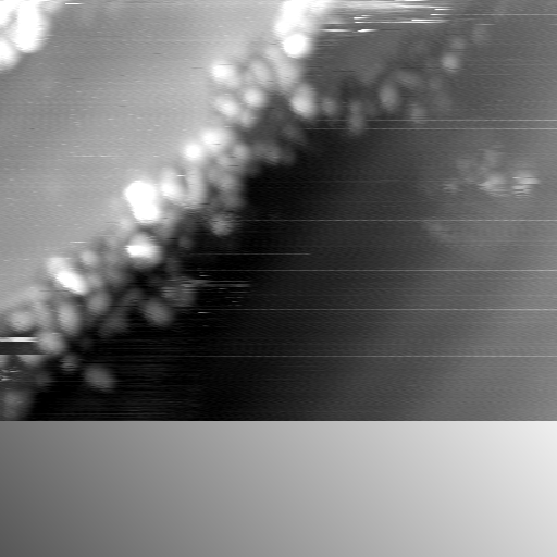 m14016_ori