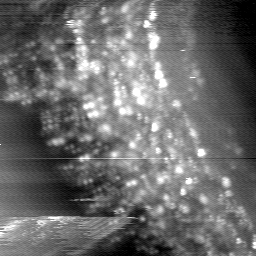 m14021_ori