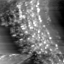 m14021_ori