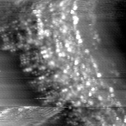 m14021_ori