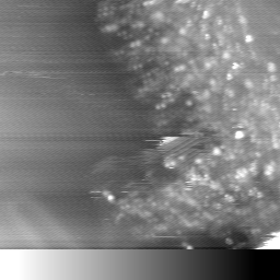 m14022_ori