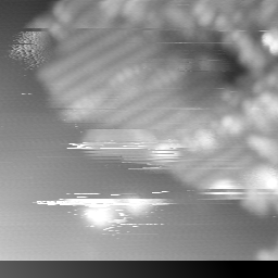 m14029_ori