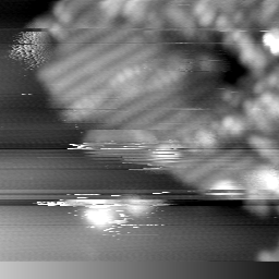 m14029_ori