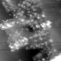 m14032_ori