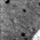 m1437_ori