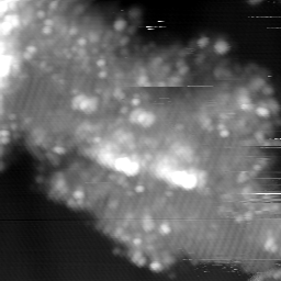 m15021_ori