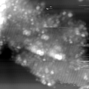 m15021_ori