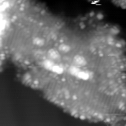 m15023_ori