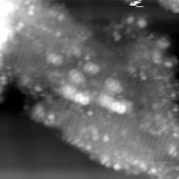 m15023_ori