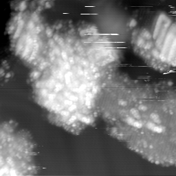 m15024_ori