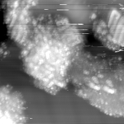 m15024_ori