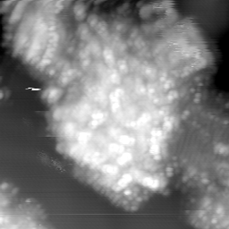 m15025_ori