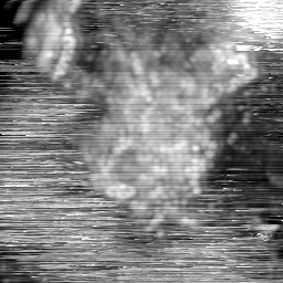 m15026_ori