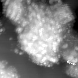m15027_ori