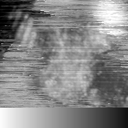 m15035_ori