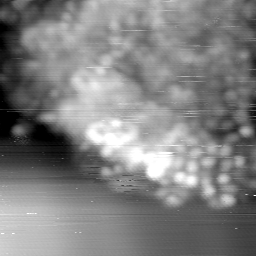 m15038_ori