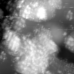 m15041_ori