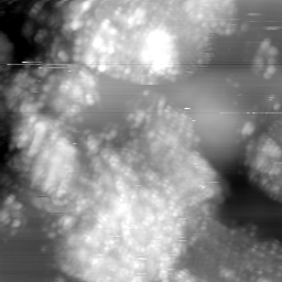 m15041_ori