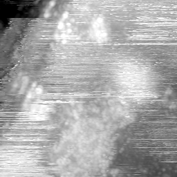 m15042_ori