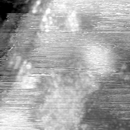 m15042_ori
