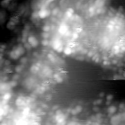 m15043_ori