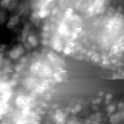 m15043_ori