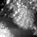 m15049_ori