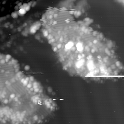 m15051_ori