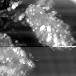 m15051_ori