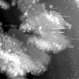 m15052_ori