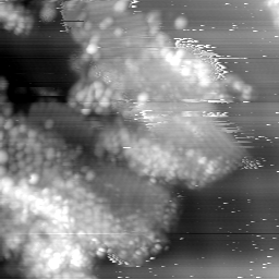 m15052_ori