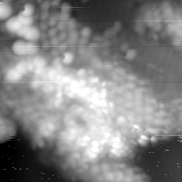 m15053_ori
