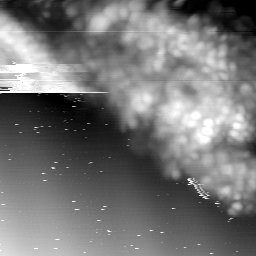 m15054_ori