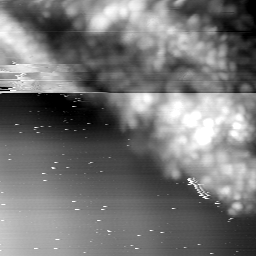 m15054_ori