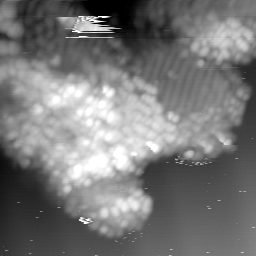 m15056_ori
