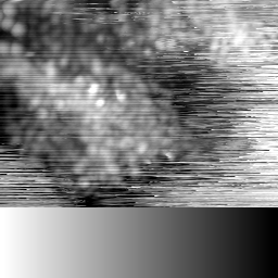 m15057_ori