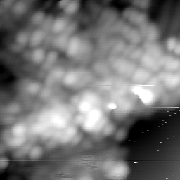 m15063_ori