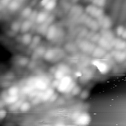 m15063_ori