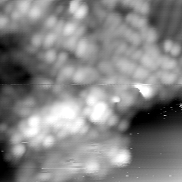 m15064_ori