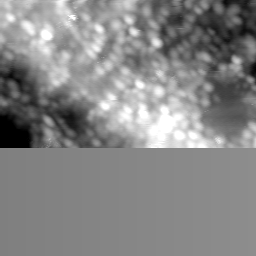 m15596_ori