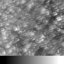 m15598_ori