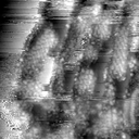 m16224_ori