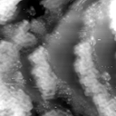 m16235_ori