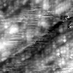 m16244_ori