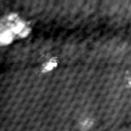 m16251_ori